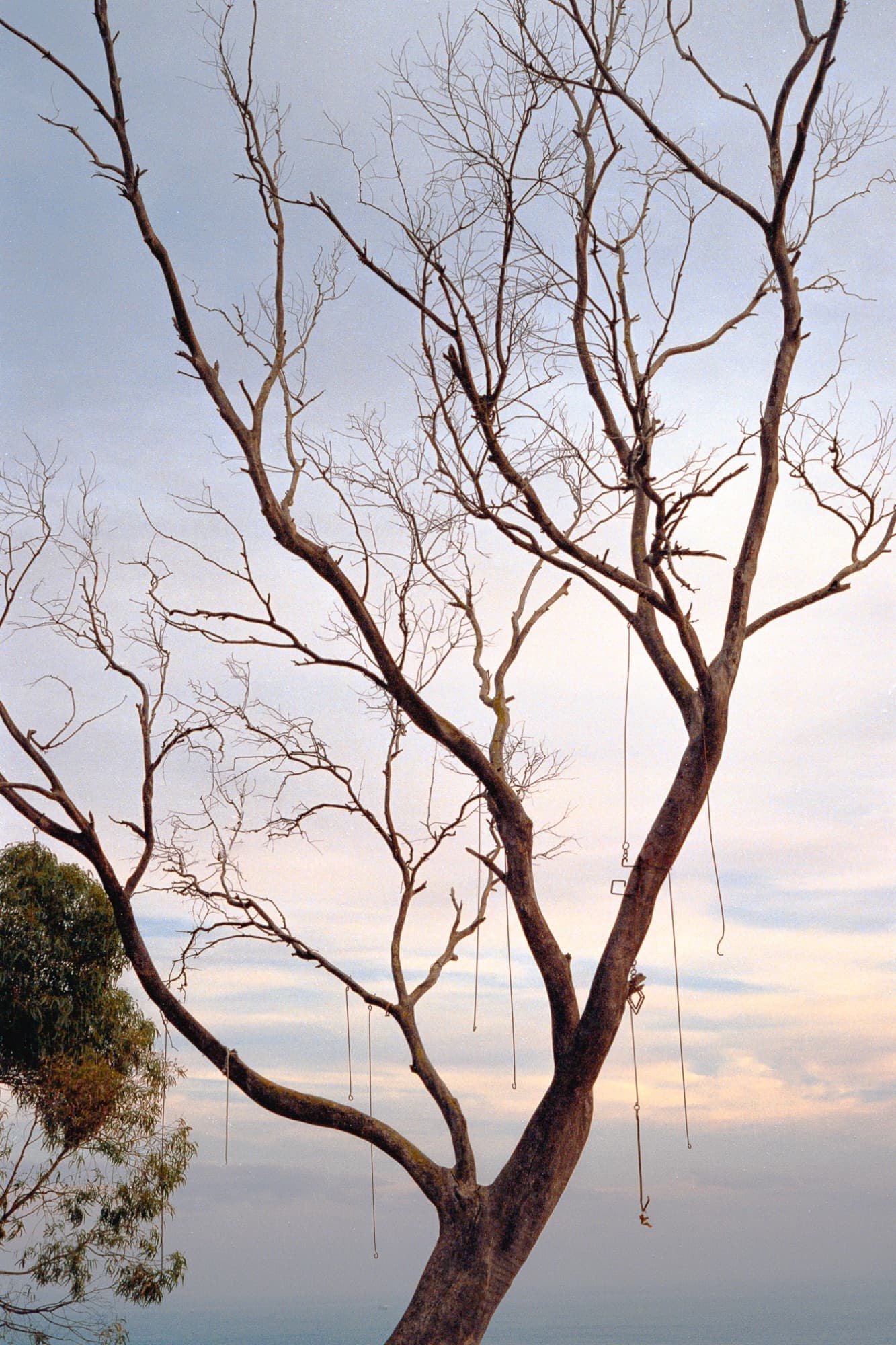 Marion Gandois — 4