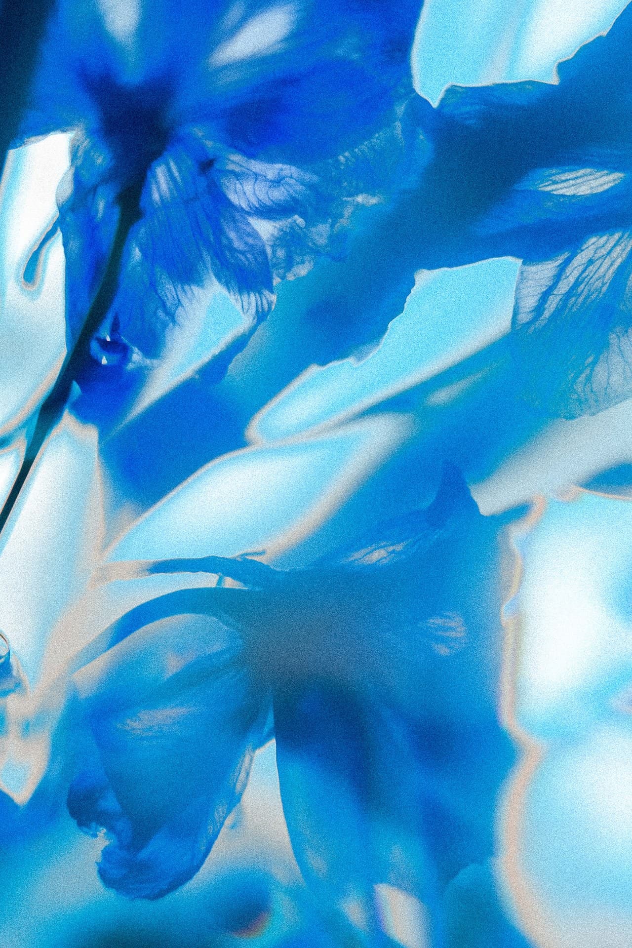 Théo Schornstein — 3