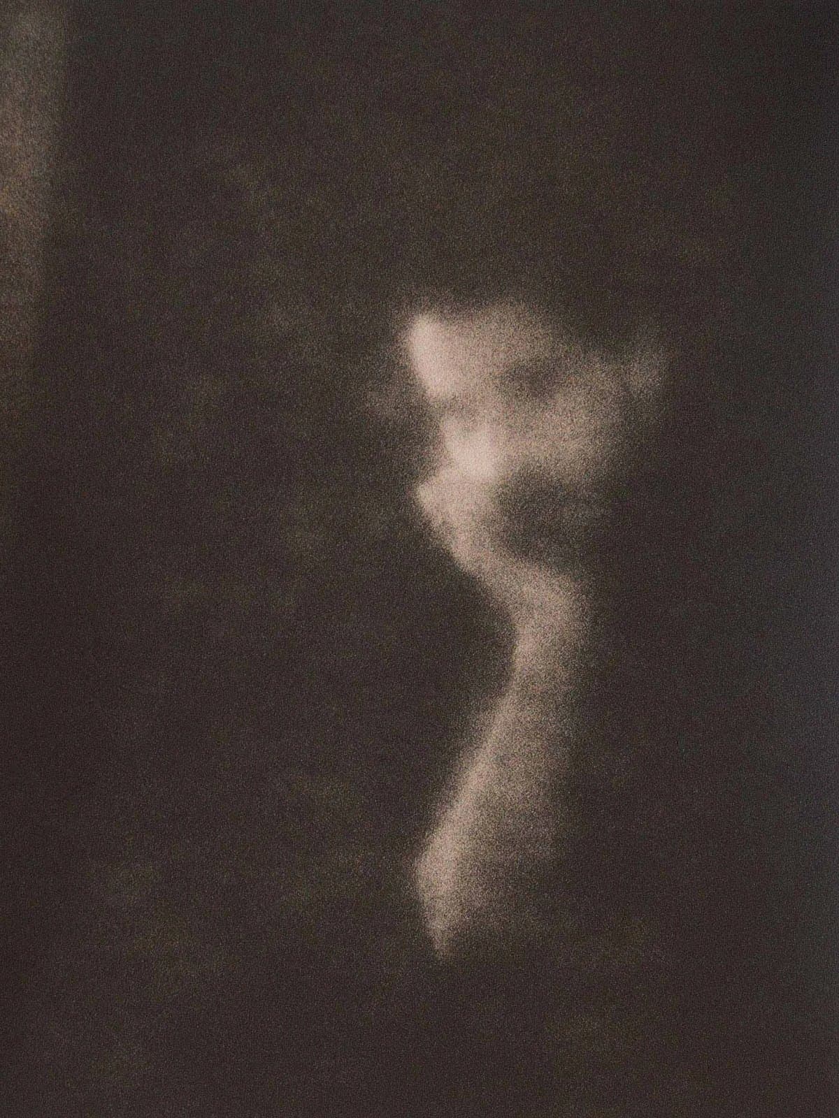Ivan B. Palli