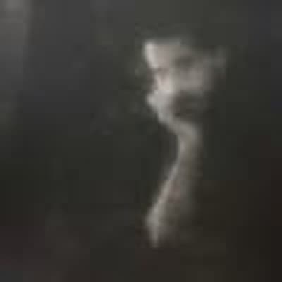 Ivan B. Palli