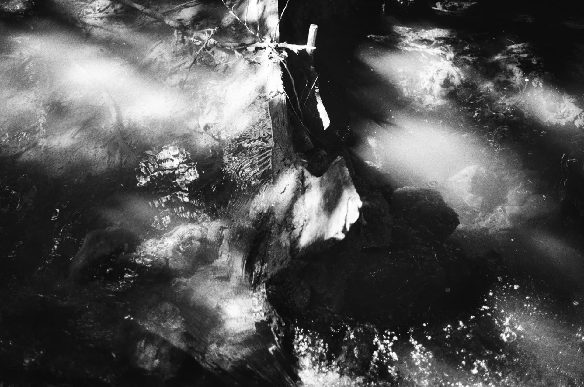 Camille Rodrigues Henriques et Xavier Houssin-Villemin — 4