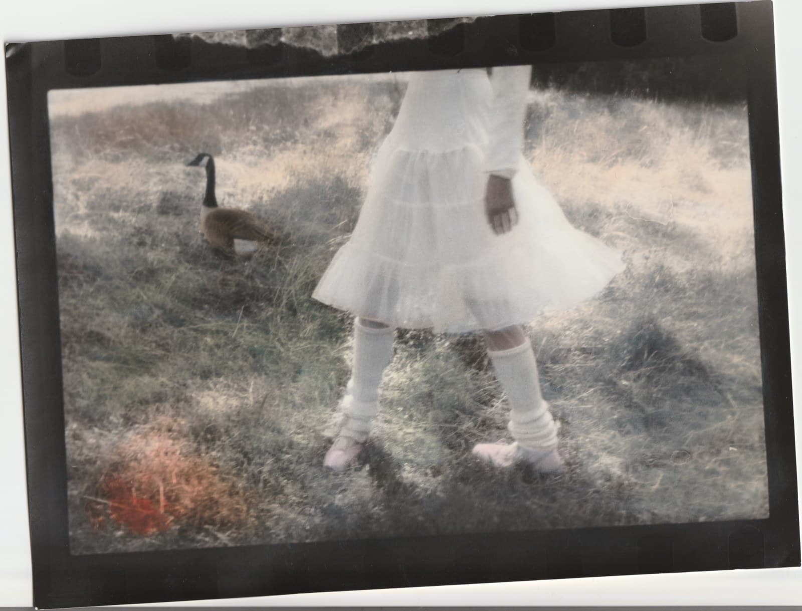 Emma Corbineau — 2